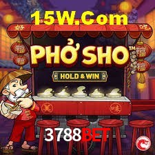 Experiência VIP 3788bet