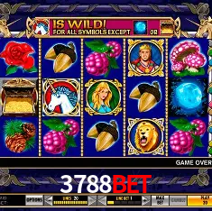 3788bet - Winners Celebration